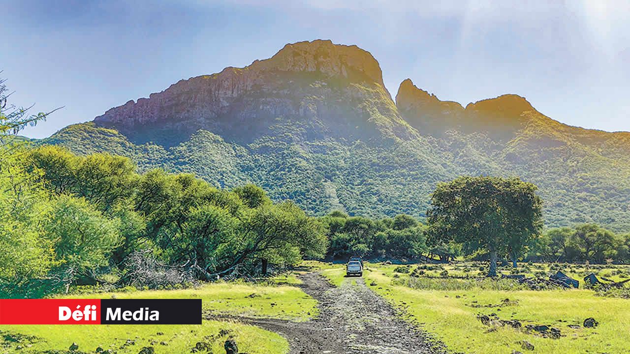 Un des sentiers que les coureurs ont empruntés hier.