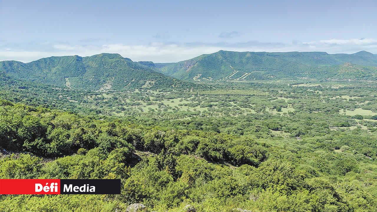 La chaîne de montagnes de Rivière-Noire domine toute la partie ouest du pays.