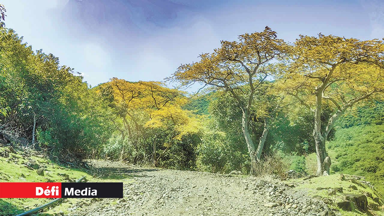 Un des sentiers du Medine Trail.