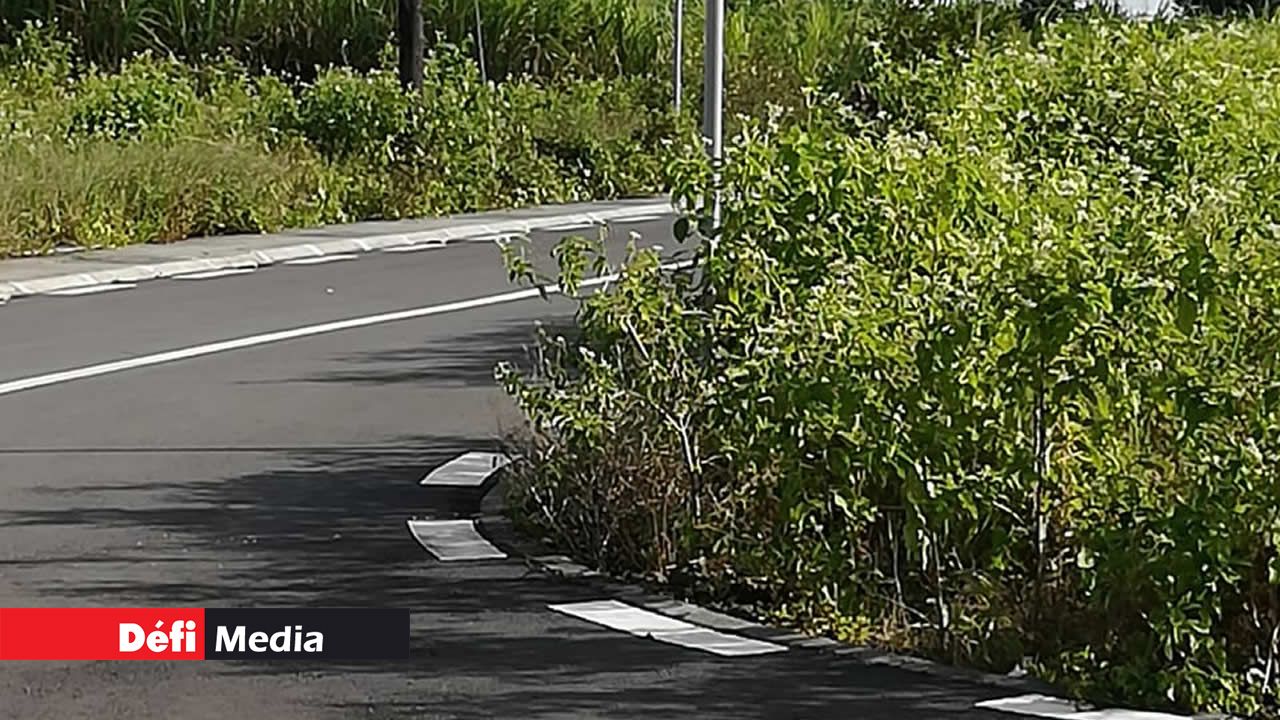 Morcellement Melrose