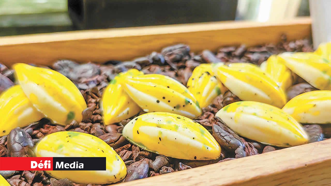 La Maison LUX* vous propose des déserts à base de chocolat. Ici, le Cabosse Yuzu accompagné de Cognac.