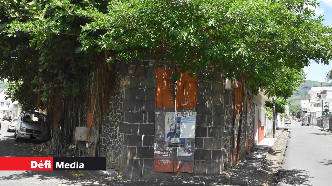 La végétation s’est installée dans une enceinte abandonnée à l’angle des rues Raoul Rivet et Barthelemy. Port-Louis, capitale de la désolation