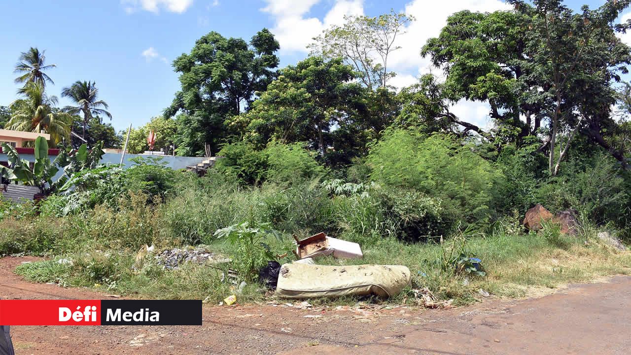 Terrain en friche et ordures à Peerbaccus Lane, à Pointe-aux-Sables. Port-Louis, capitale de la désolation