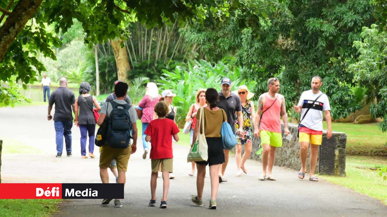 Balade dans les allées du Jardin botanique de Pamplemousses. Au cœur de notre patrimoine