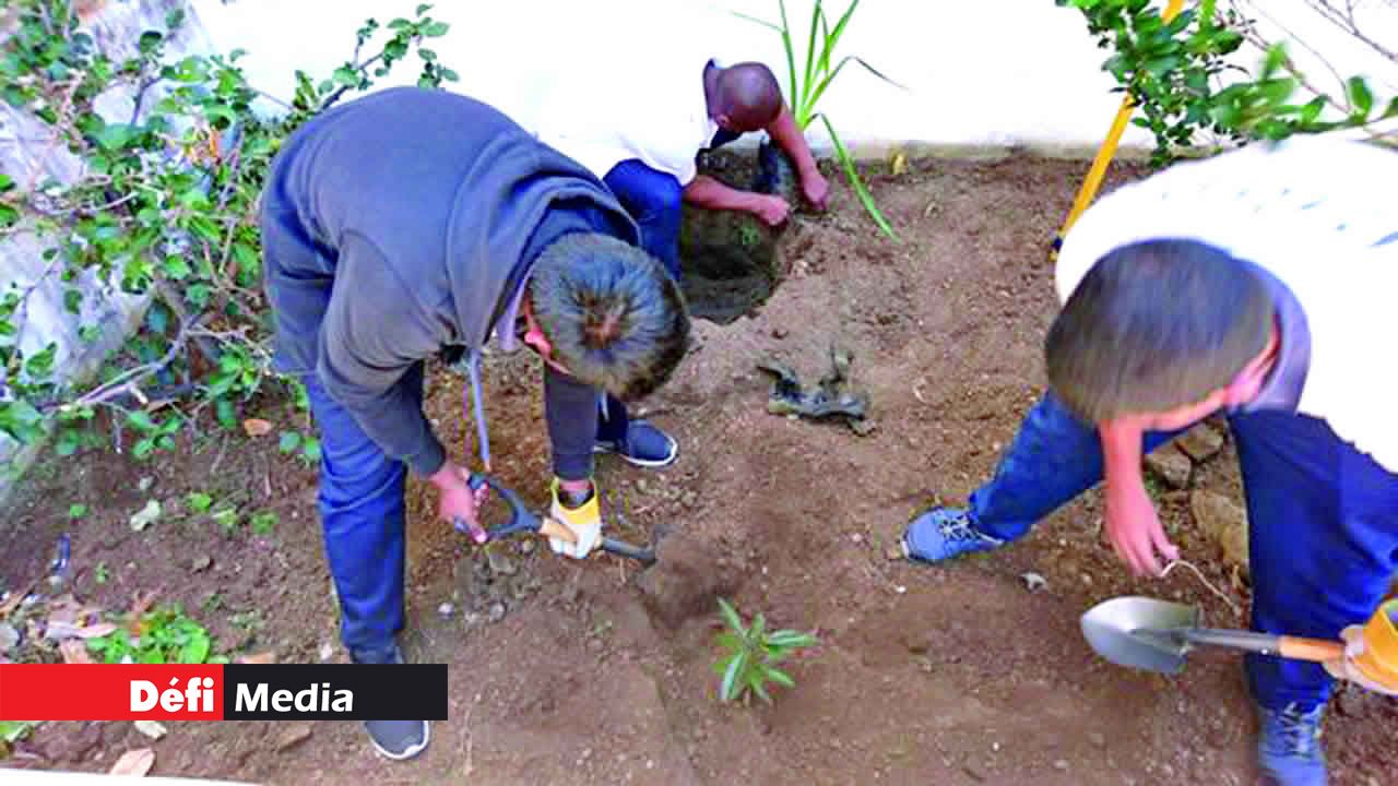 Dr James Burty David SSS