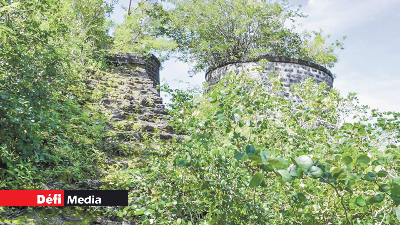 La nature a repris ses droits au four à chaux.
