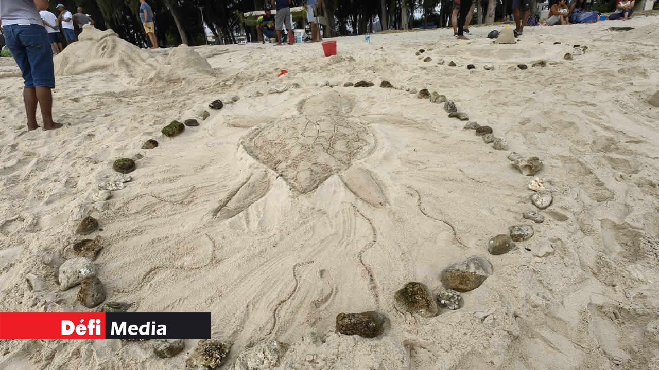 Une sculpture représentant une tortue prise au piège.
