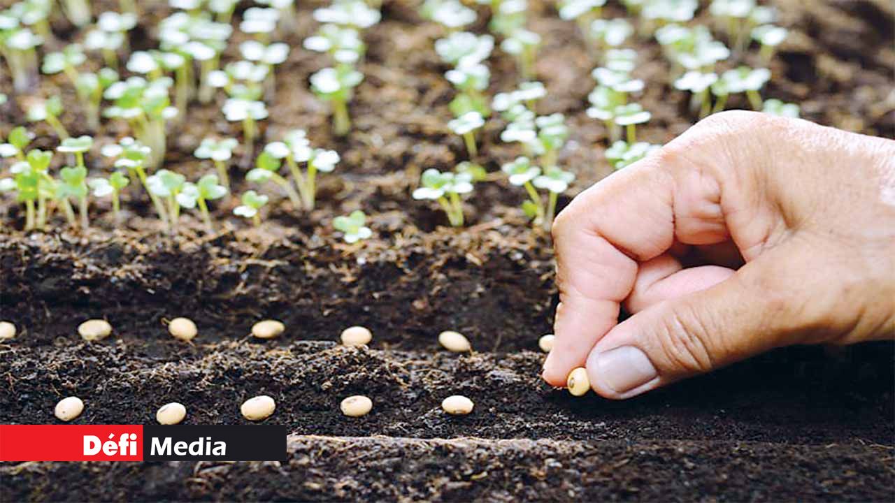 Agro-Industry: Setting up of a National plant variety and seeds office