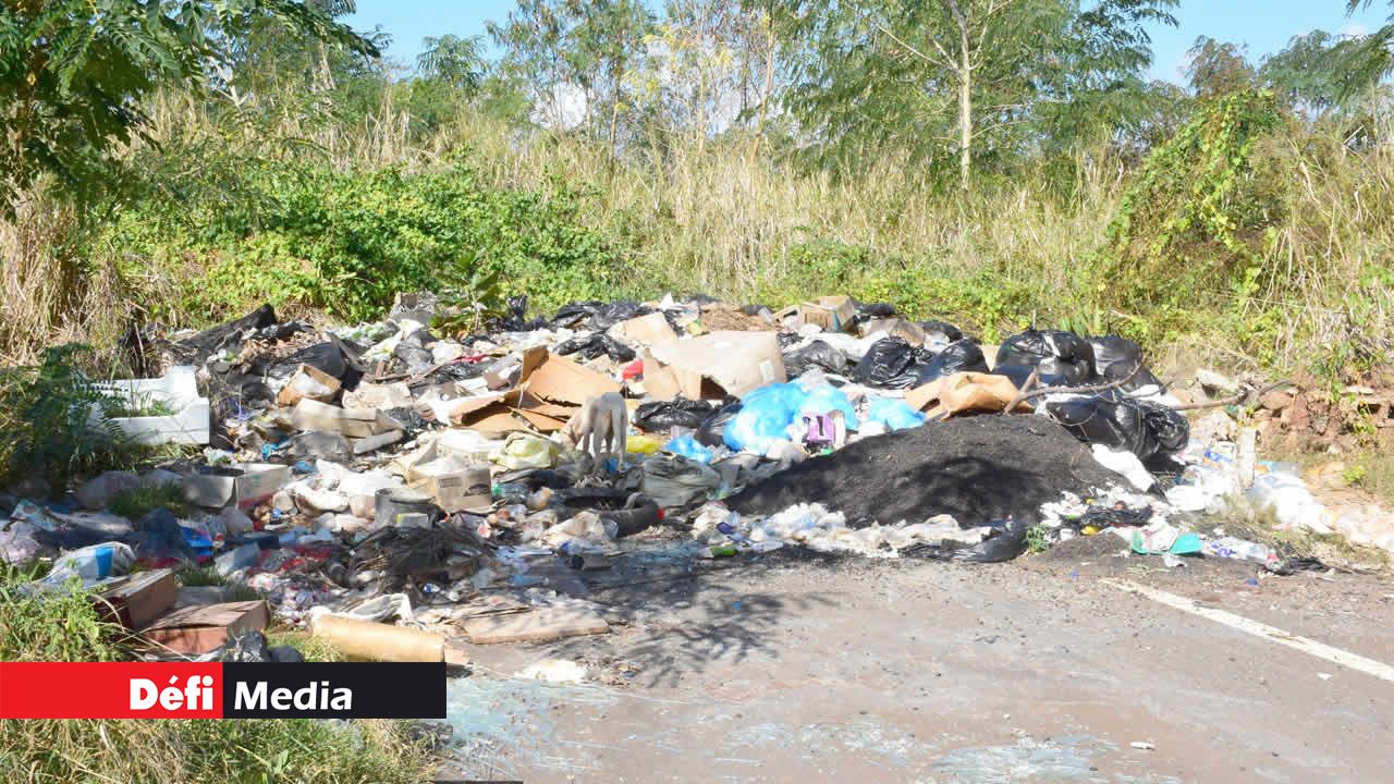 Ces amas de déchets attirent les chiens errants à proximité de la route Terre-Rouge/Verdun.