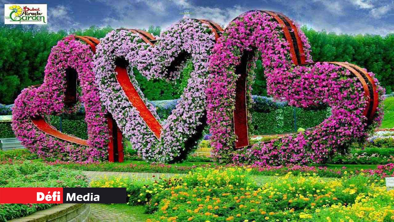 Dubai Miracle Garden