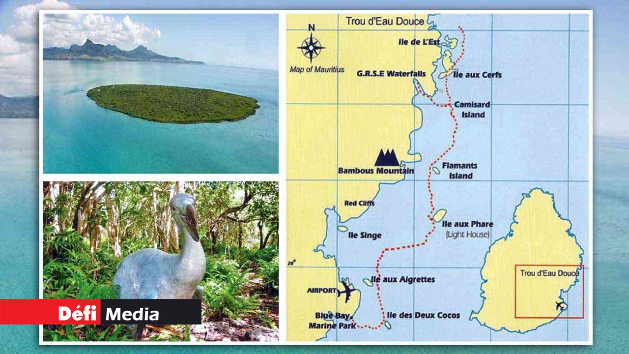 Ile aux Aigrettes: A green haven unique to Mauritius