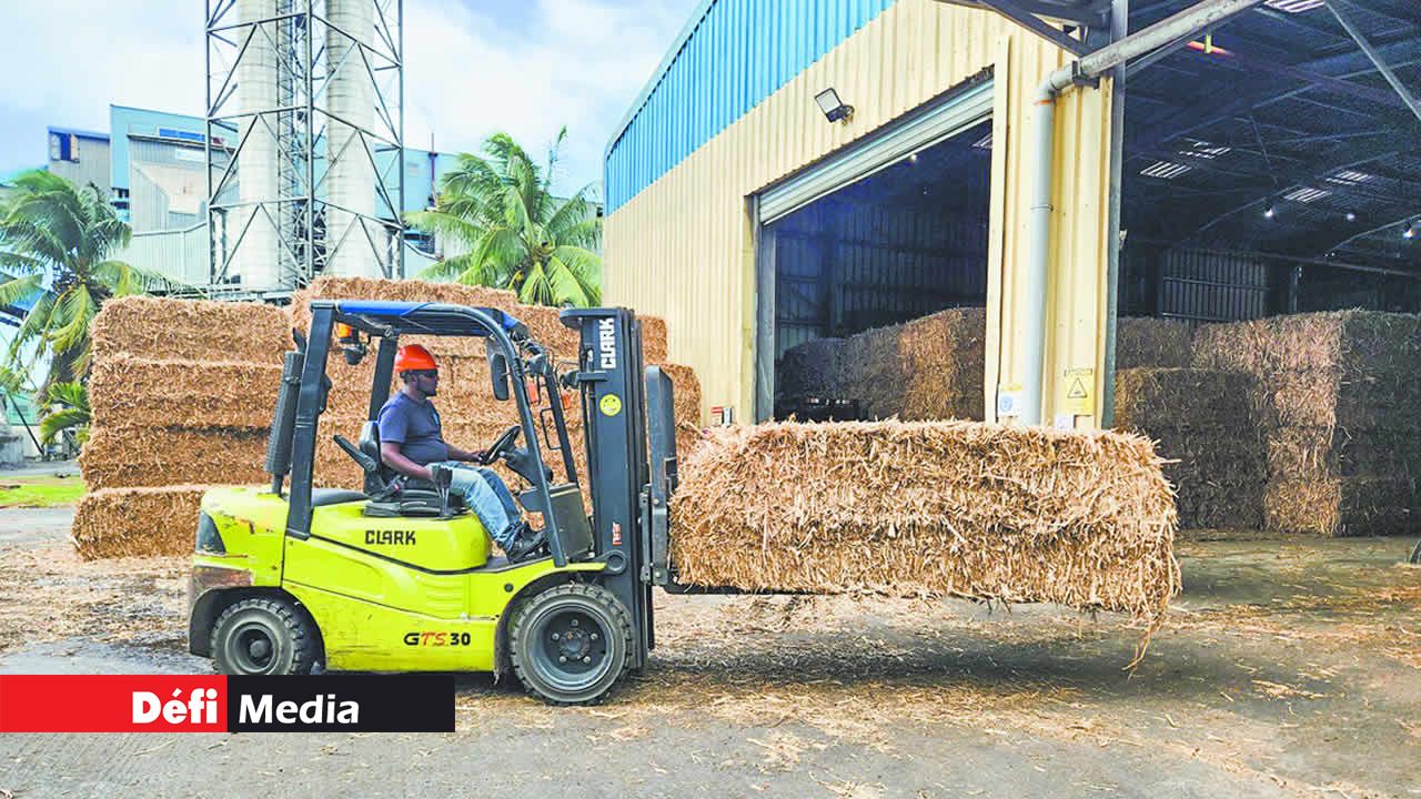 Un chariot élévateur transportant les ballots de paille.