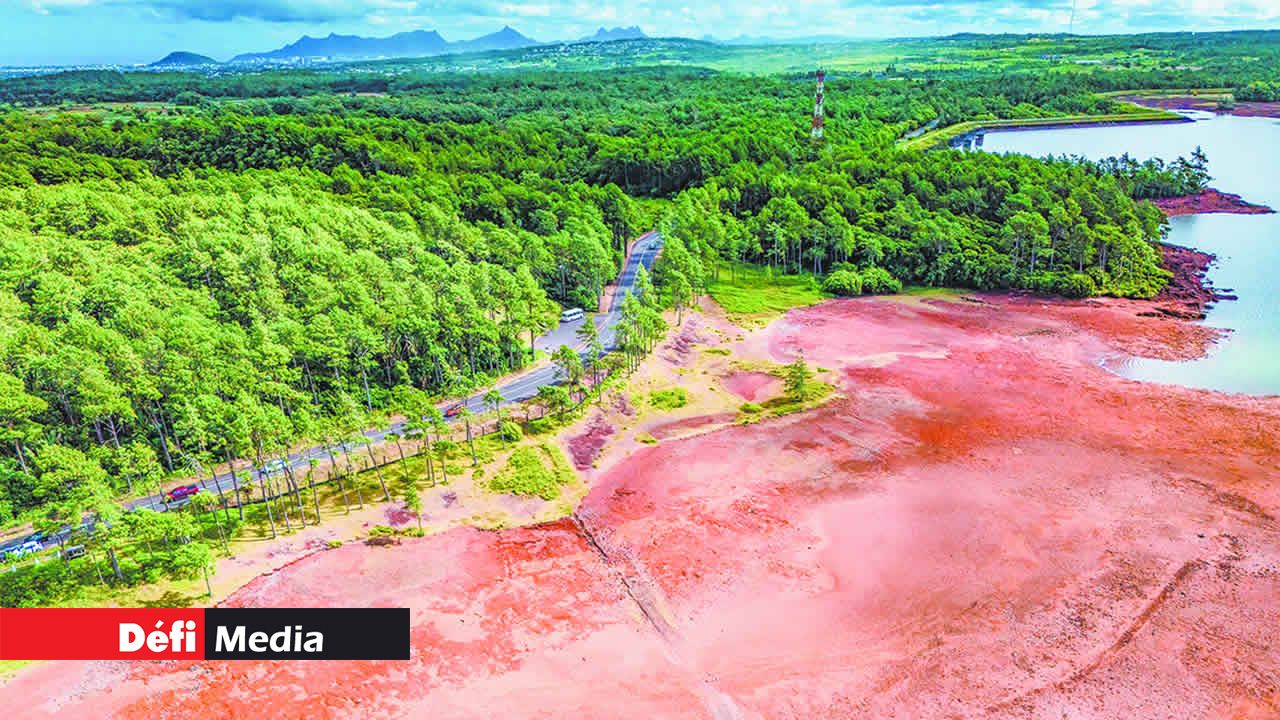 Paysage désertique au réservoir de Mare-aux-Vacoas.