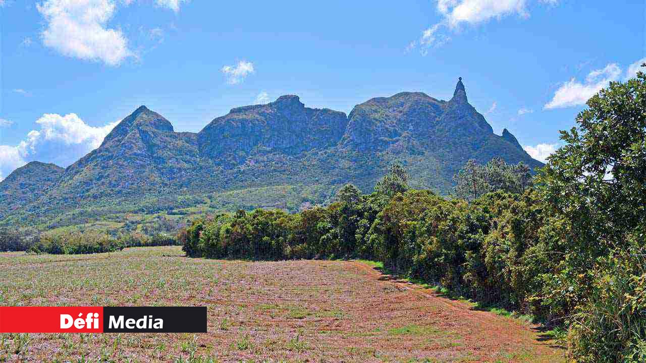 Moka Trail: The 2016 edition moving to La Laura