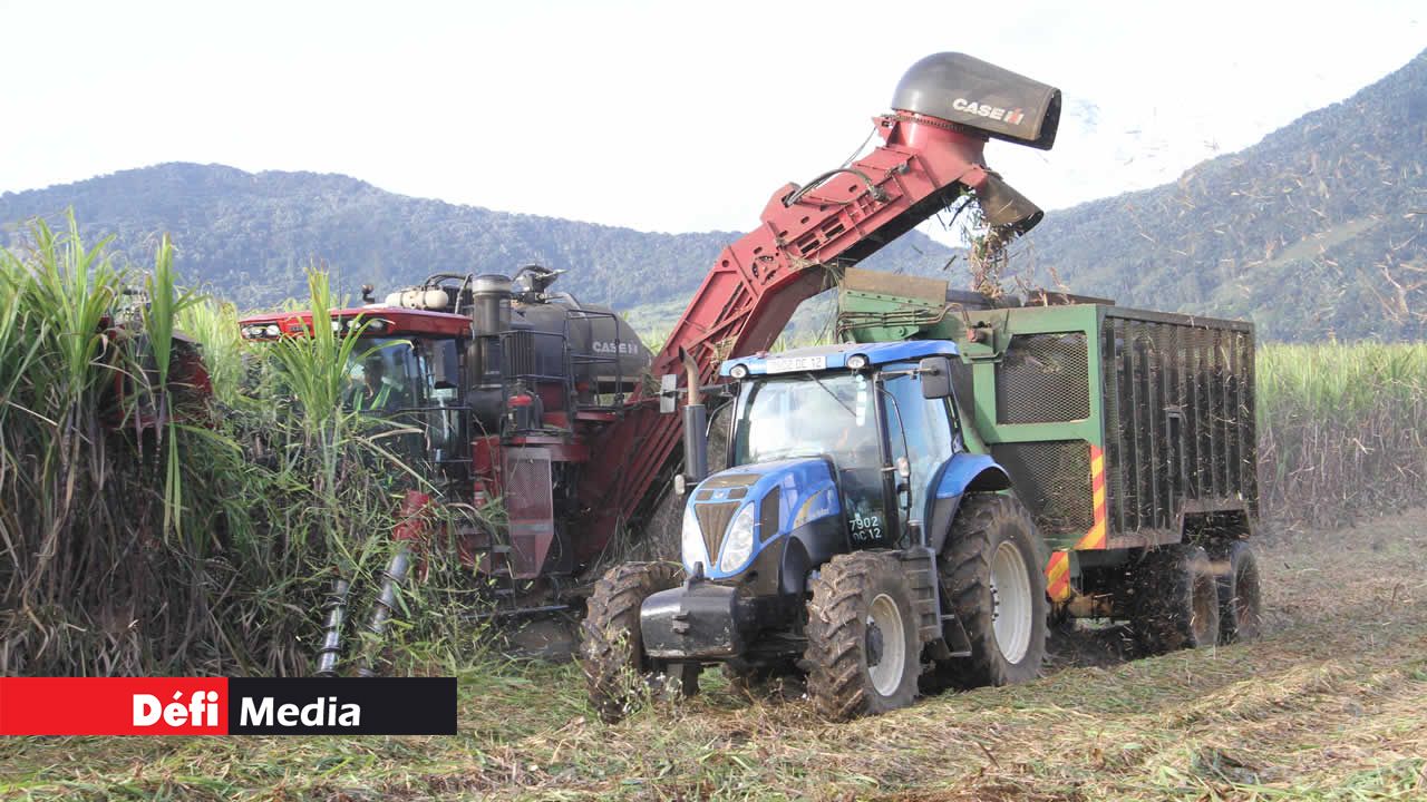 Production sucrière