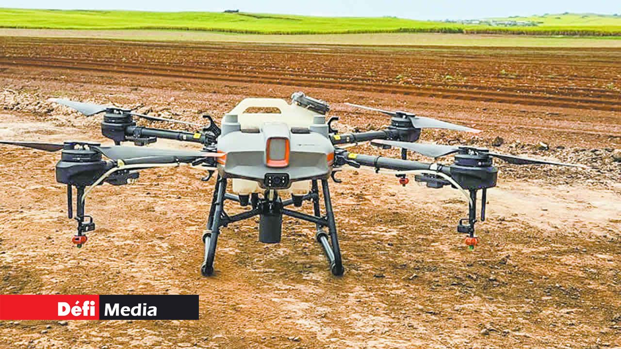 Type de drone utilisé dans les champs de canne.