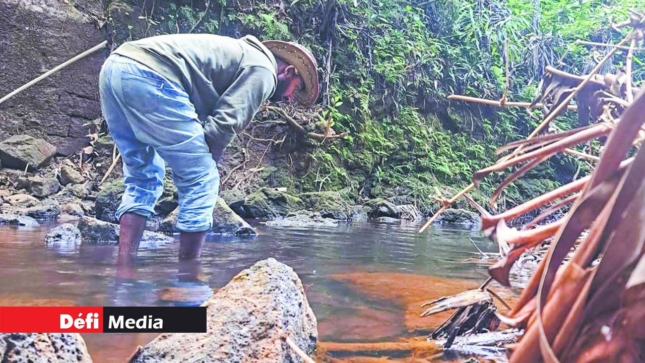 Raja Vencatasawmy est aquascaper.