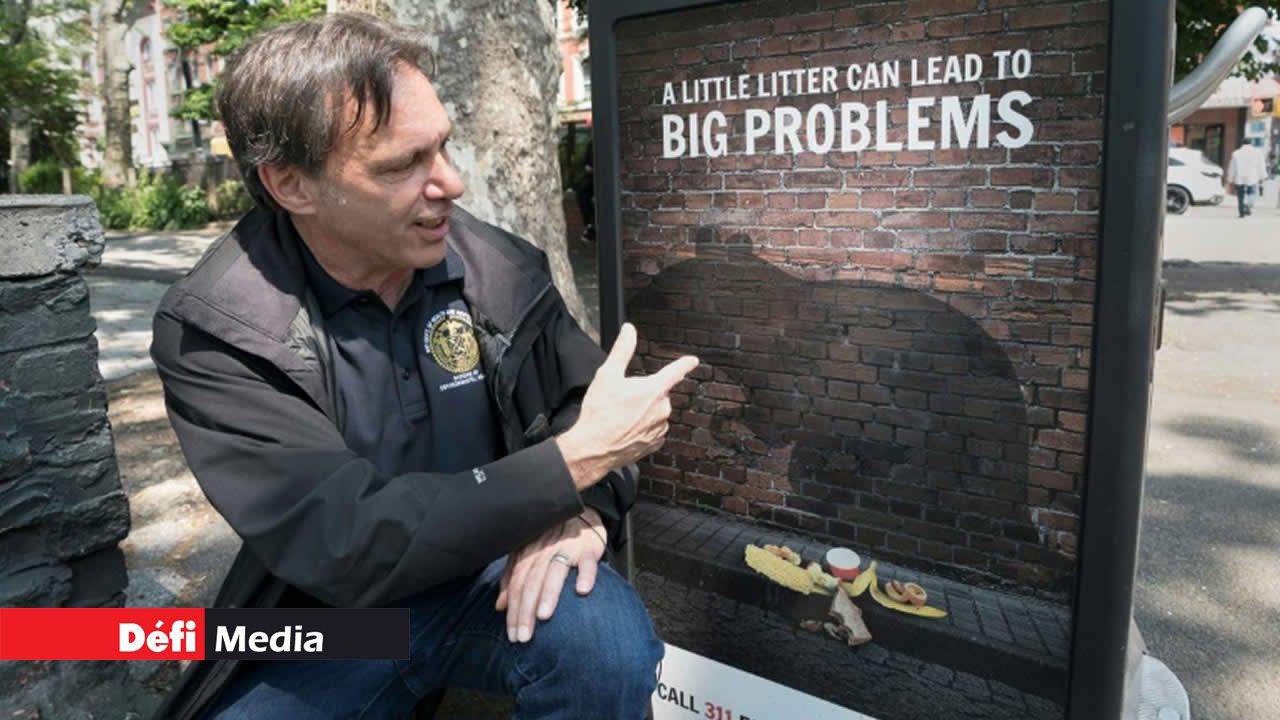 Rick Simeone, directeur du service antiparasitaire de New York, dans un parc de la ville le 7 juin 2018