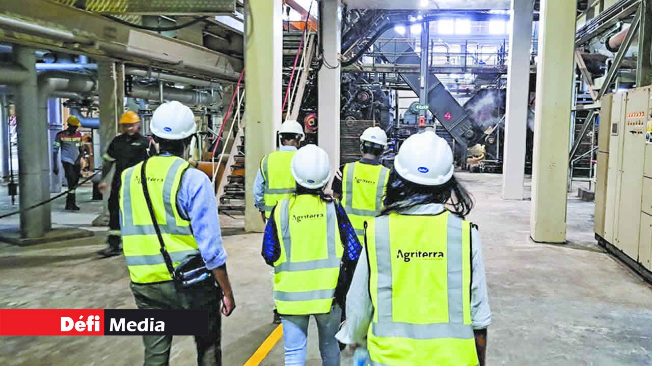 La réception des cannes récoltées des champs.