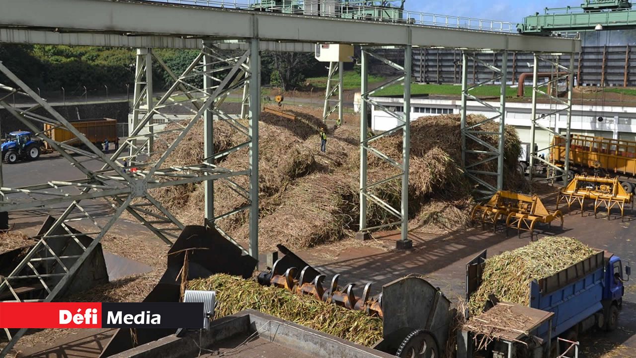 Terra Miling à Mapou