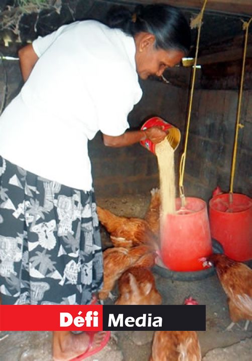 Shakoun Sahadeo: « Je ne peux pas attendre les bras croisés et mourir de faim »