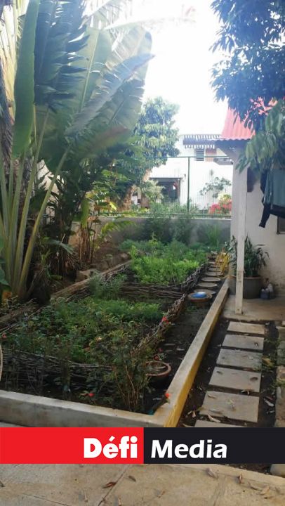 Depuis peu, Aline Wong se consacre davantage
à son potager.