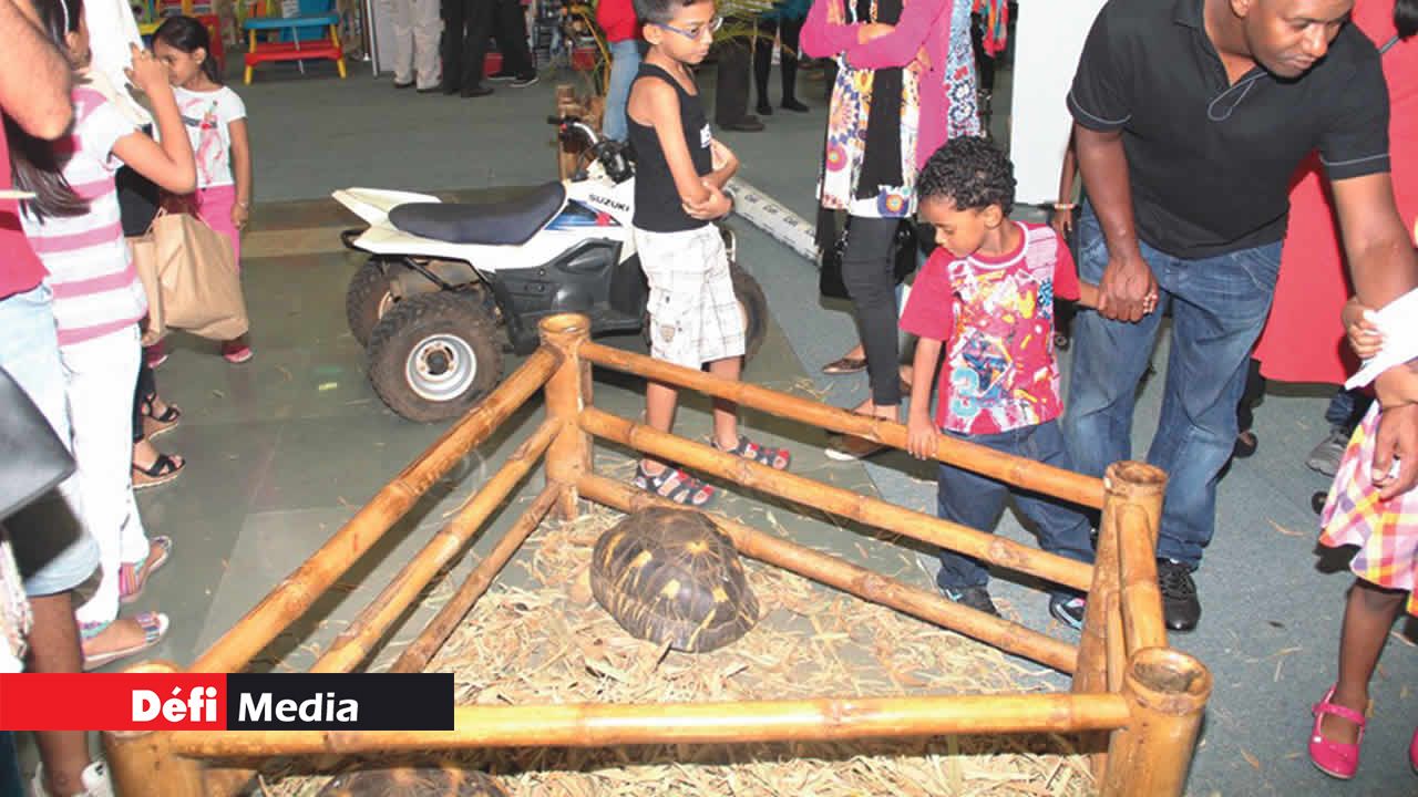 La Vanille Nature Park invite les enfants à découvrir sa petite ferme.
