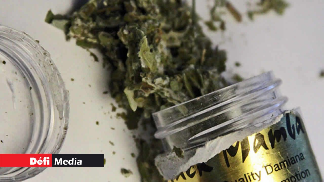 La consommation de ces substances nocives provoque la paranoïa, des hallucinations, voire des convulsions.