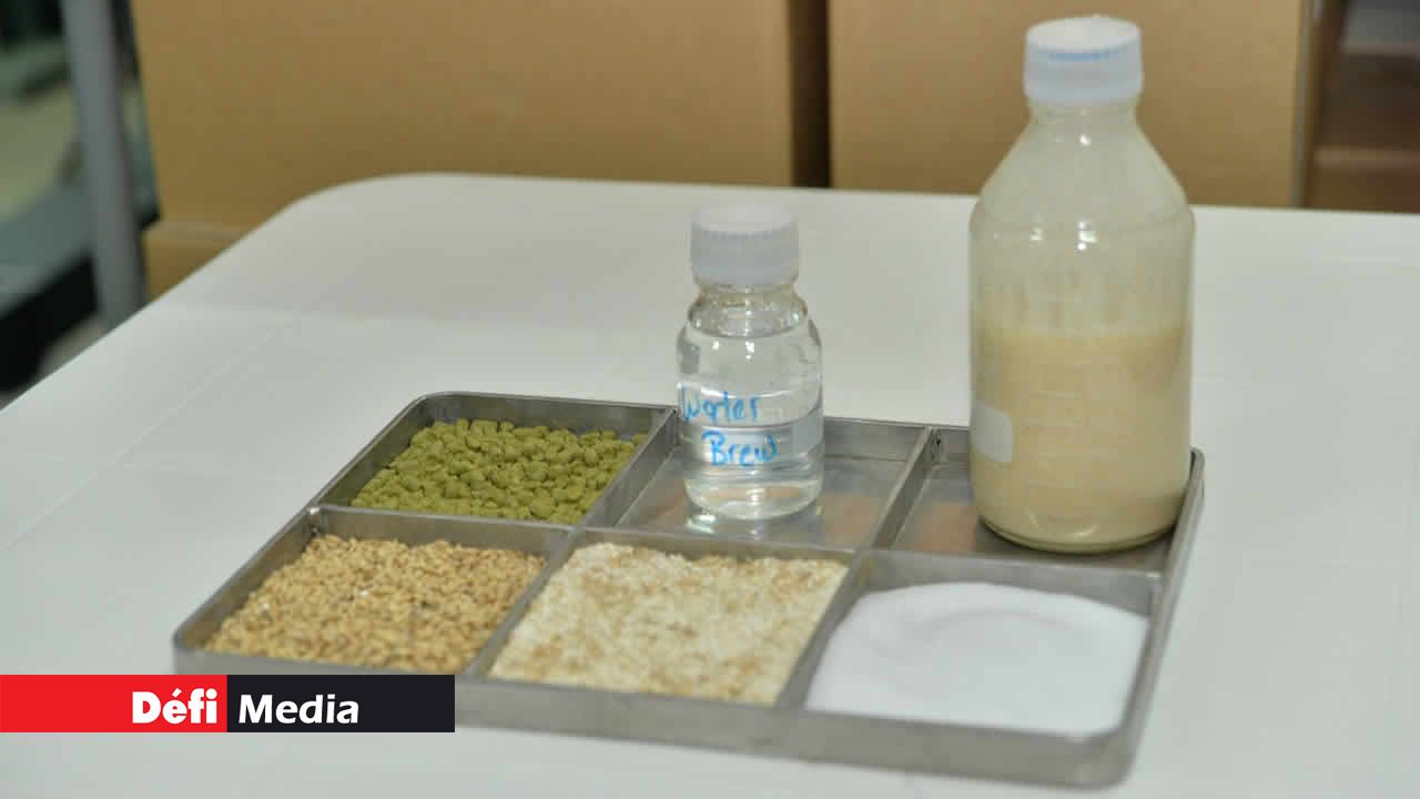 Les ingrédients
principaux pour
fabriquer la bière sont le houblon, le malt d’orge, le sucre et la levure.