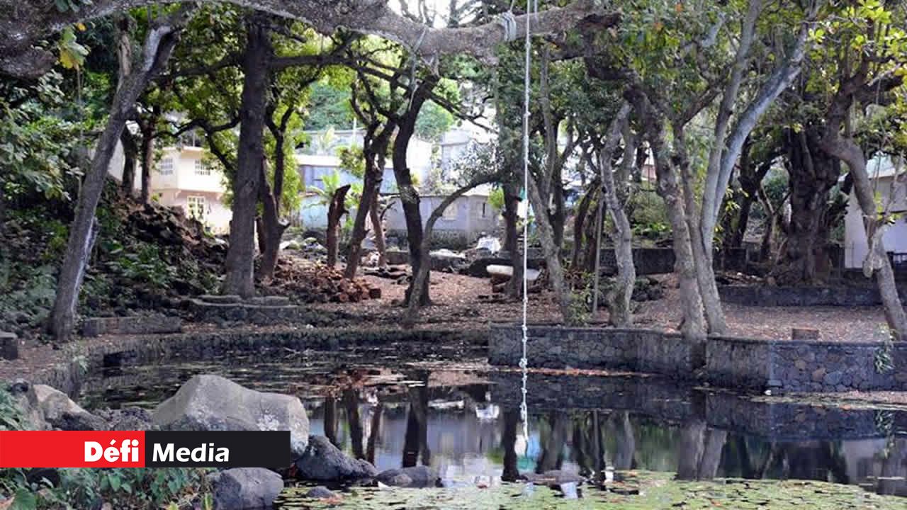 La corde à laquelle les enfants se balancent avant de se jeter à l’eau.