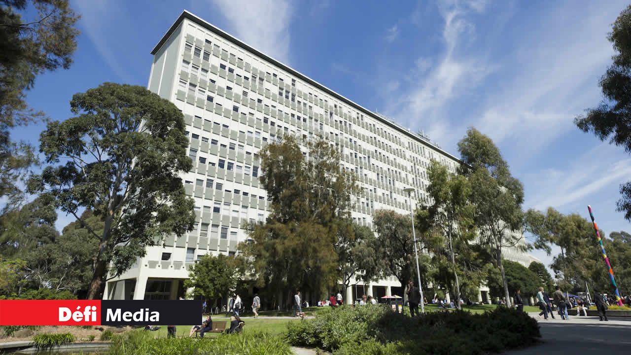 Le frais de logement sur le campus à Melbourne
prend près 80% du montant octroyé par l’état.