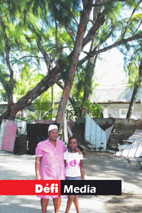 Les grands filaos menacent de tomber sur leur maison.