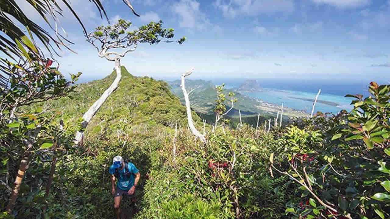 Ultra Trail Raidlight Beachcomber