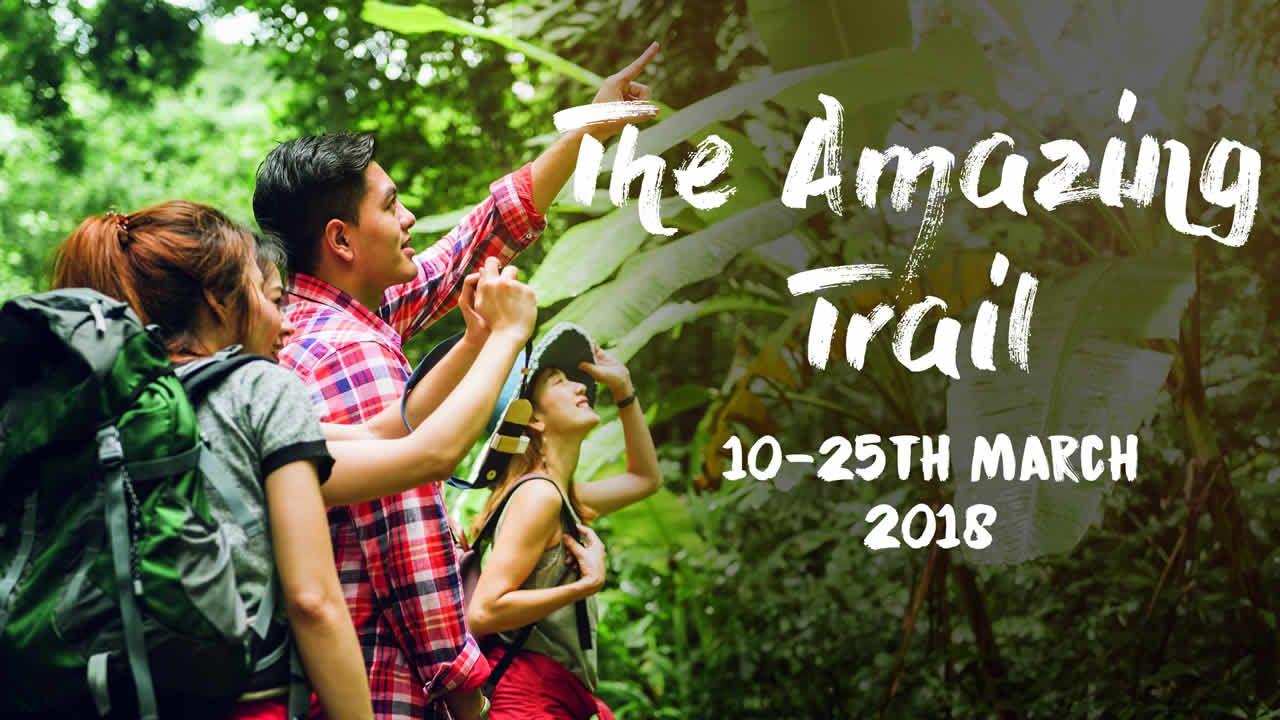 The Amazing Trail 