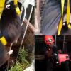 Mapou : sauvetage d'un chien tombé dans un puits